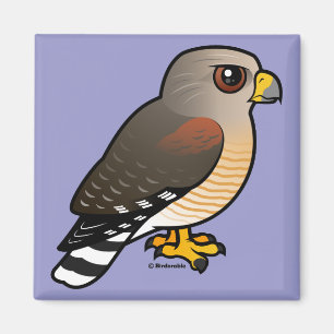 Hawk met rode schouders magneet