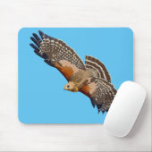 Hawk met rode schouders muismat (Met muis)