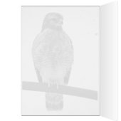 Hawk met roodschouderklopjes (Binnen (Links))