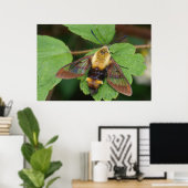 Hawk Moth Poster (Thuiskantoor)