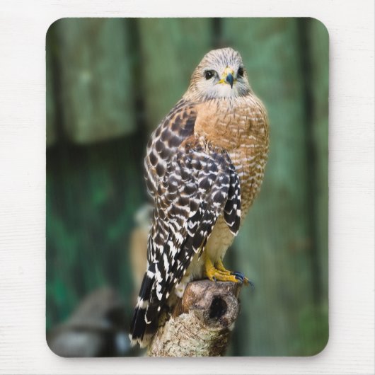 Hawk Mousepad, met rode schouders Muismat (Voorkant)