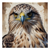 Hawk no 3 Glanzend Poster Perfect Poster (Voorkant)