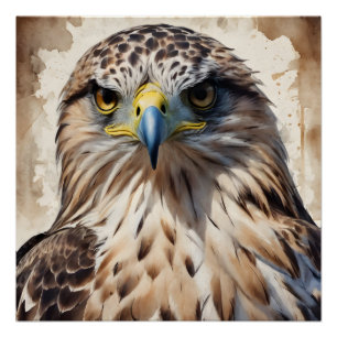Hawk no 3 Glanzend Poster Perfect Poster