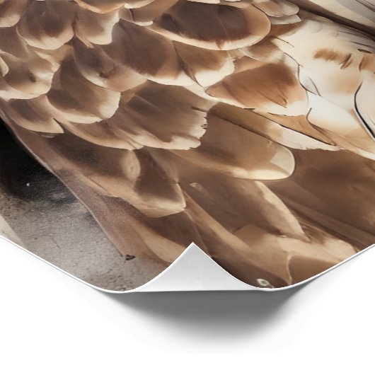 Hawk no 6 Glossy Poster (Coin)