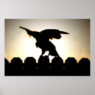 Hawk on Fence Poster
