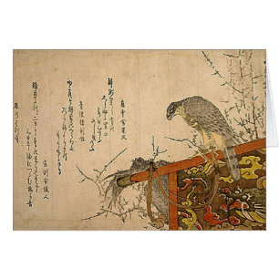 Hawk op Screen Perch