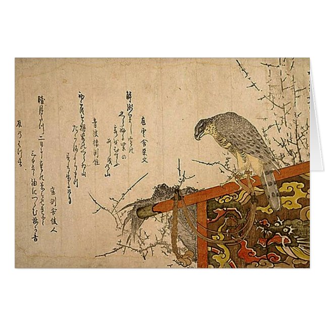 Hawk op Screen Perch (Voorkant Horizontaal)