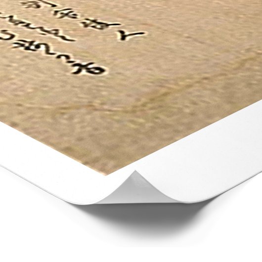 Hawk op Screen Perch Poster (Hoek)