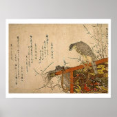 Hawk op Screen Perch Poster (Voorkant)