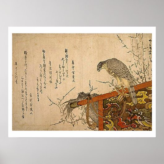 Hawk op Screen Perch Poster (Voorkant)