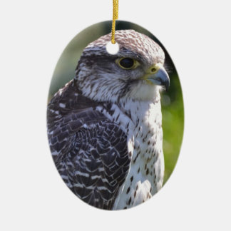 Hawk Ornament