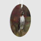 Hawk Ornament (voorkant)