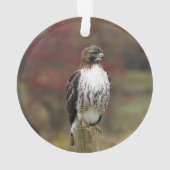 Hawk Ornament (achterkant)