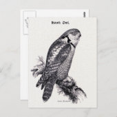 Hawk Owl  Bird Illustratie Briefkaart (Voorkant / Achterkant)