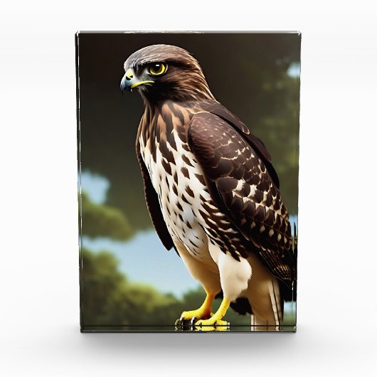 hawk Photo Block art Fotoblokken (Voorkant)