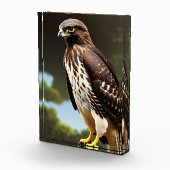 hawk Photo Block art Fotoblokken (Rechts)