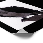 Hawk Photo Poster (Hoek)