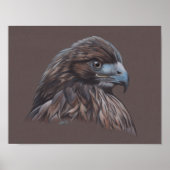 Hawk Poster (Voorkant)