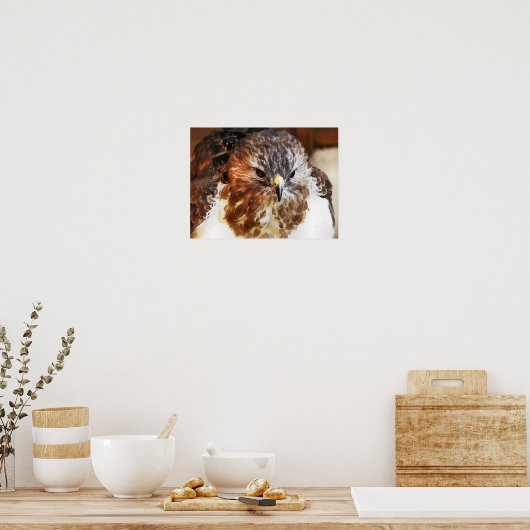 HAWK POSTER (Keuken)