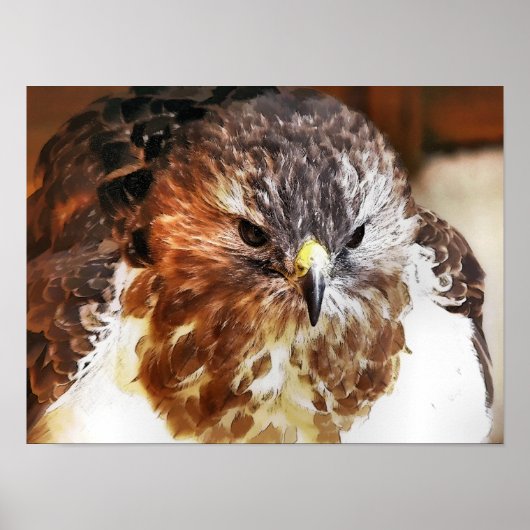 HAWK POSTER (Voorkant)