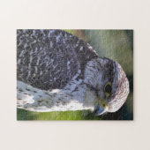 Hawk Puzzle/Jigzaag Legpuzzel (Horizontaal)