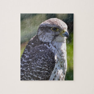 Hawk Puzzle/Jigzaag met tin Legpuzzel