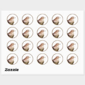 Hawk Ronde Sticker (Vel)