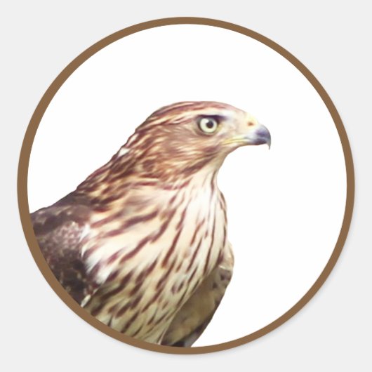 Hawk Ronde Sticker (Voorkant)