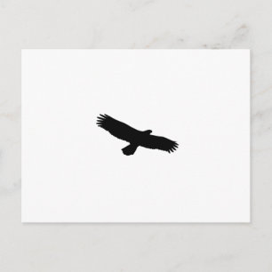 Hawk Silhouette Briefkaart
