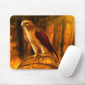 Hawk Spirit Mousepad Muismat (Met muis)
