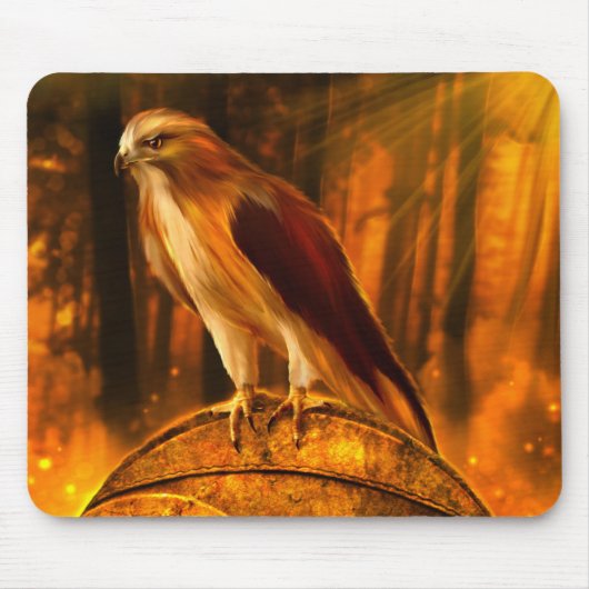 Hawk Spirit Mousepad Muismat (Voorkant)