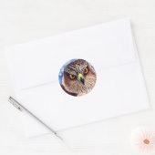 Hawk Stickers (Envelop)