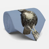 Hawk Stropdas (Opgerold)