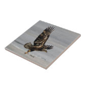 Hawk tegel tegeltje (Zijkant)