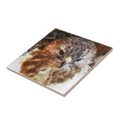 HAWK TEGELTJE (Zijkant)