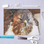 HAWK TISSUEPAPIER (Craft)