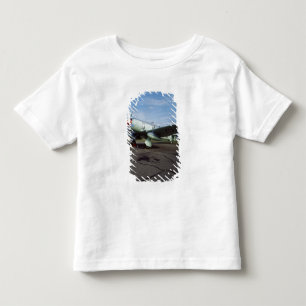 Hawker Sea Fury bij CAF, Minnesota Wing, op de 2 Kinder Shirts