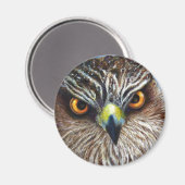 Hawkeyes Magneet (Voorkant / Achterkant)