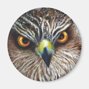 Hawkeyes Magneet