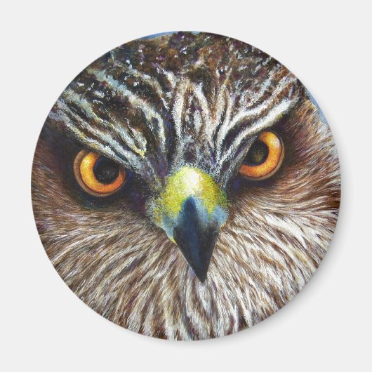 Hawkeyes Magneet (Voorkant)