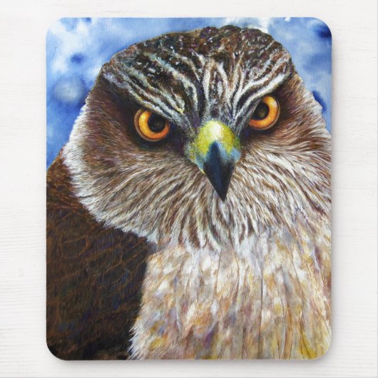 Hawkeyes Muismat (Voorkant)