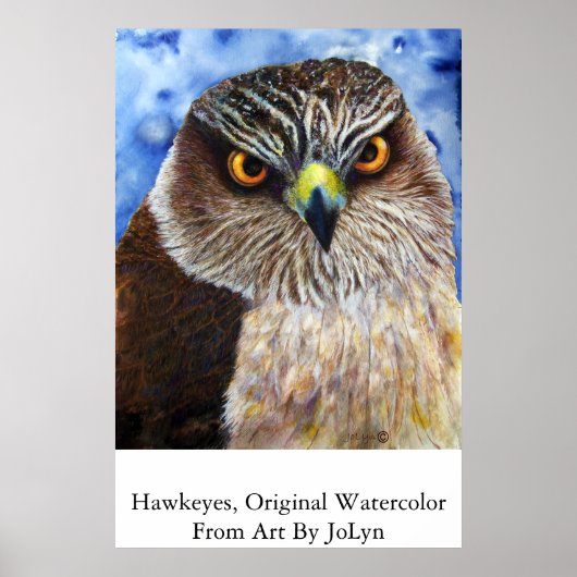 Hawkeyes Poster (Voorkant)