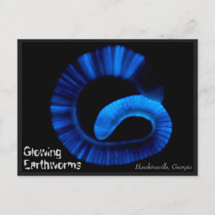 Hawkinsville Georgia US Carte postale