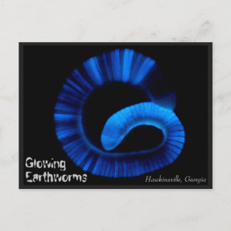 Hawkinsville Georgia US Carte postale