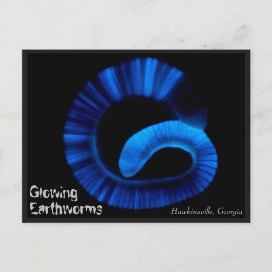 Hawkinsville Georgia US Carte postale (Devant)