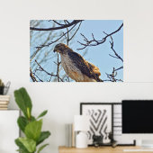 Hawks Eye Poster (Thuiskantoor)