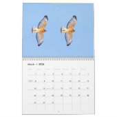 Hawks in het wild 2026 kalender (Mar 2026)