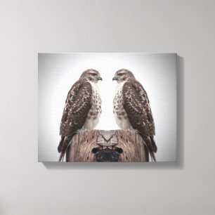 Hawks op een post canvas afdruk