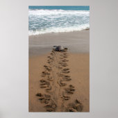 Hawksbill Turtle Trek print (Voorkant)