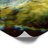 Hawksbill Zee Turtle, Amerikaanse Maagdeneilanden Poster (Hoek)